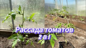 Новая рубрика «Самые простые советы дачникам»