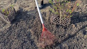 Весенние работы на даче. Посев газонной травы.