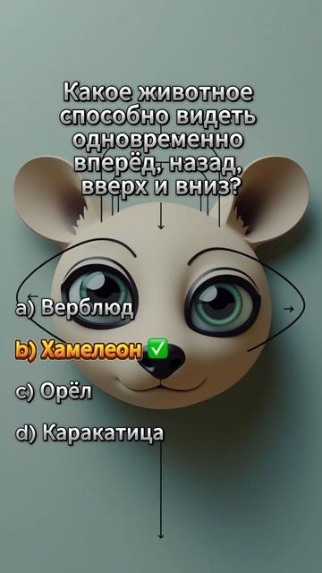 Знали? #викторина #эрудиция #тесты #знания #вопросы #воп смотреть онлайн