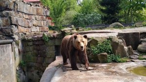 В мире животных. Калининградский зоопарк
