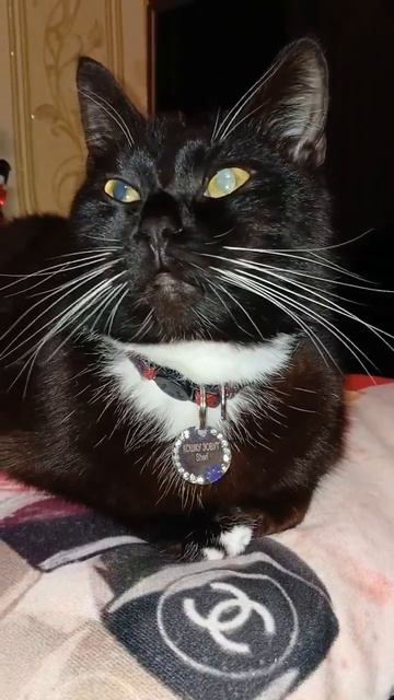 КОГДА У МЕНЯ ЕСТЬ СВОБОДНОЕ ВРЕМЯ смотреть онлайн