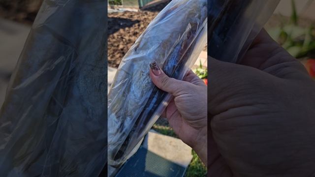 Май 2025 смотреть онлайн