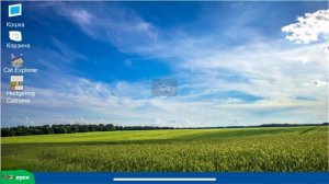 Обзоры от кошка 1.0 до кошка 11