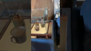 Площадь Мира 1, Музейный центр. Красноярск.