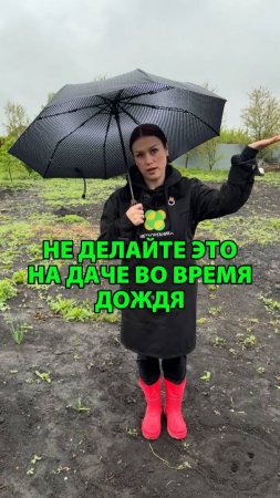 Не делайте это на даче во время дождя