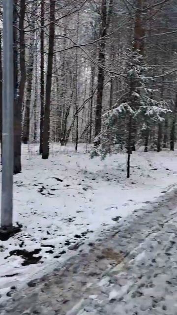 Красота, первый снег в лесу, пермь, балатовский смотреть онлайн
