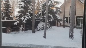 Зимняя прогулка по Лесу Чудес. Наша дача январским вечером.
