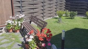 Каменистая почва на участке, что делаю, чтобы улучшить плодородие почвы.