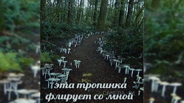Поворот не туда [2 раунд 18 независимый Баттл hip-hop.ru] смотреть онлайн