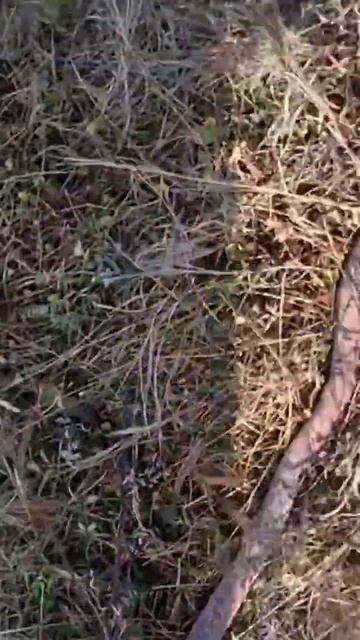 Из￼ земли кабель 22 м .￼ смотреть онлайн