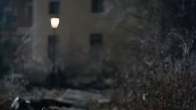 Борец серия 1 смотреть онлайн