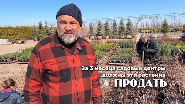 Как мы заботимся о ваших растениях даже после покупки!
