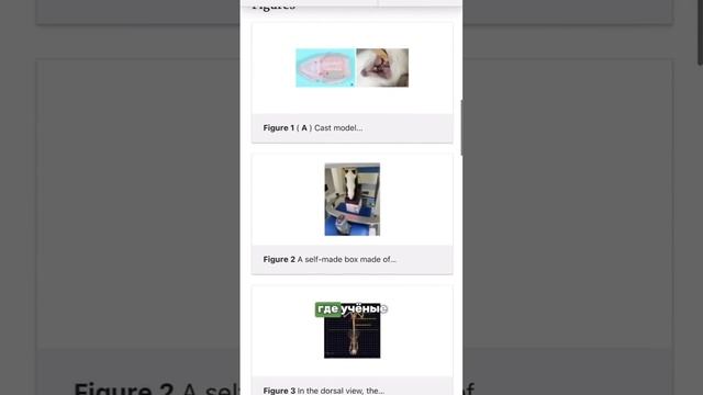 Последствия откладывания лечения зубов на потом могу? смотреть онлайн