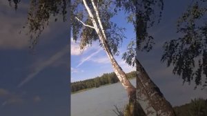 Приколы на тарзанке