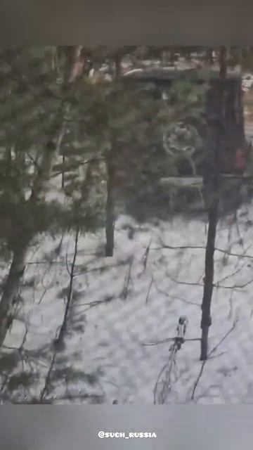 На трассе Екатеринбург-Нижний Тагил появился борец с ? смотреть онлайн