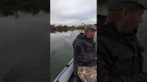 на электротяге по озеру