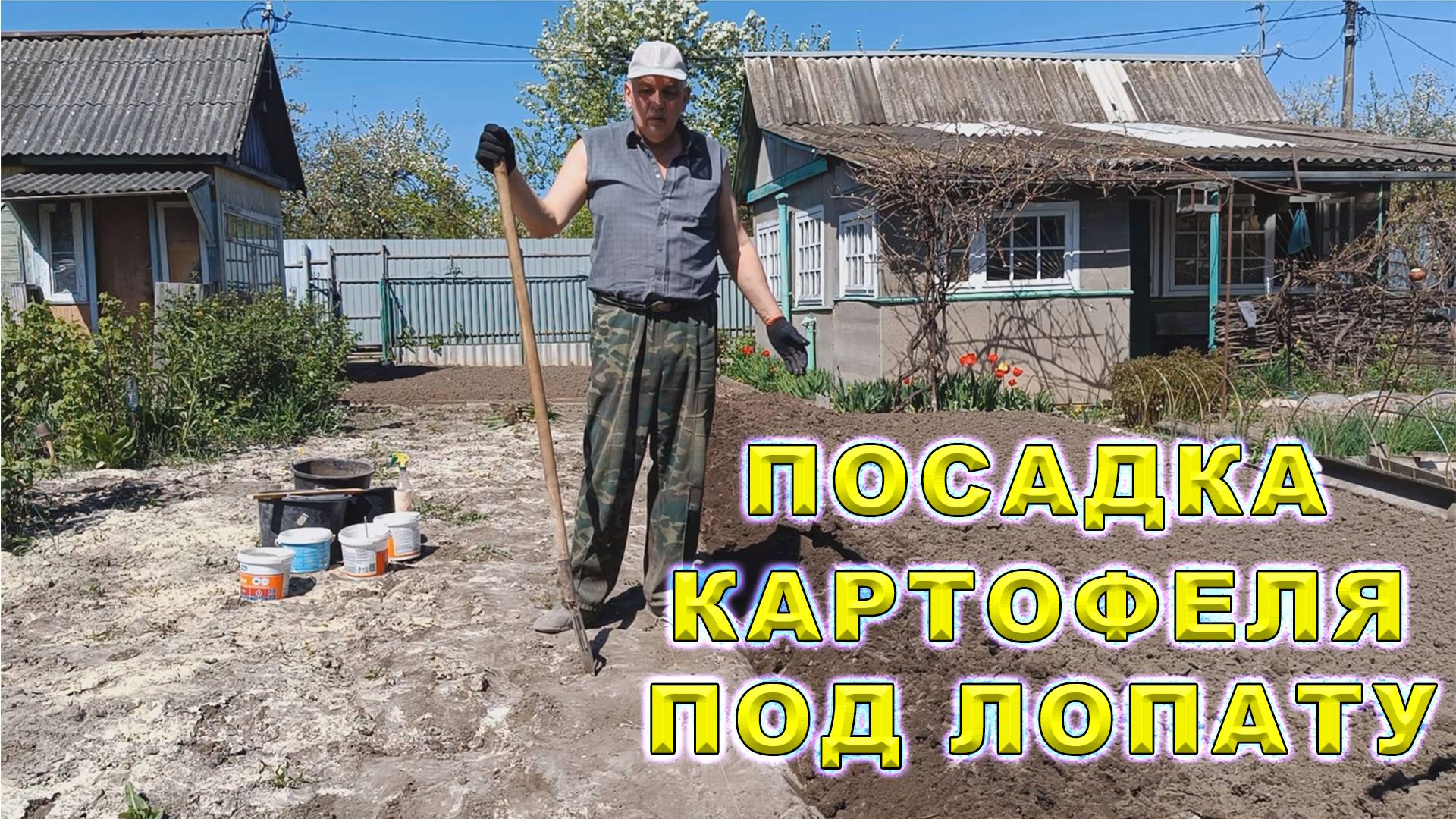 Посадка картофеля под лопату. Самый простой способ посадки картошки Какое удобрение положить в лунку