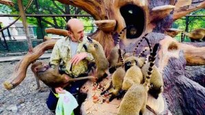 Люська ОЧЕНЬ ПЛОХО воспитывает своих носух, одна из них просто КИНУЛАСЬ на Влада