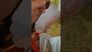 квас из бузины.простой рецепт.