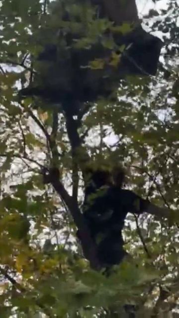 Обезьяна без гранаты 2 смотреть онлайн