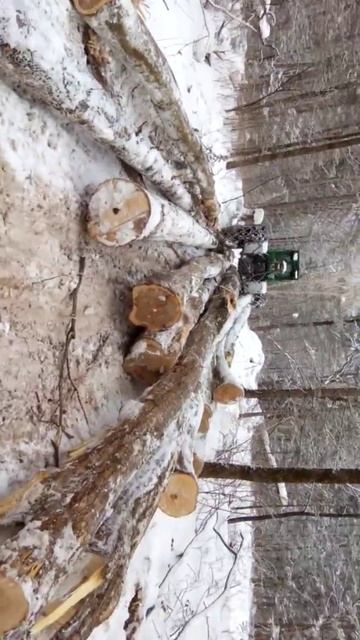 Все подряд В тайге Приморья (есть маты).(62) смотреть онлайн