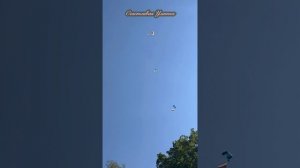 САМОЛЕТЫ / ПАРАШЮТИСТЫ / ЛИСТОВКИ 
С ПРАЗДНИКОМ! С 9 МАЯ!!! С ДНЕМ ПОБЕДЫ! 
80 ЛЕТ. 9 МАЯ 2025 ГОД.