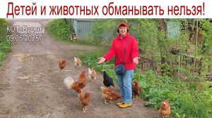 Вот моя деревня - вот мой дом родной... КОТоБудни от 09.05.2025г.