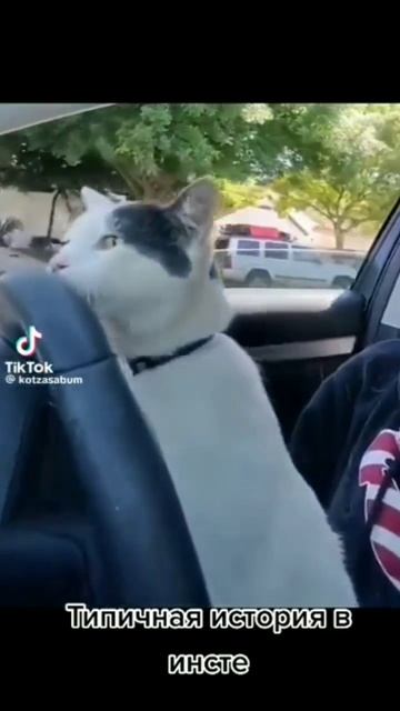 Мама сказала быть дома в 18:00 сейчас Время 17:59 где-то то ? смотреть онлайн