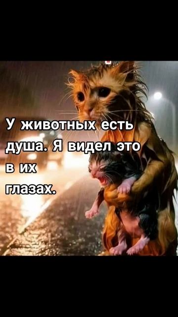 У животных есть душа. Я видел это в их глазах. #horts смотреть онлайн