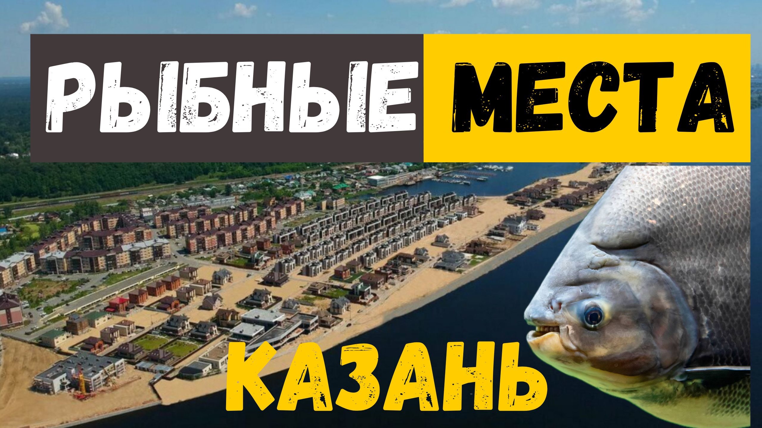 Рыбные места в черте города