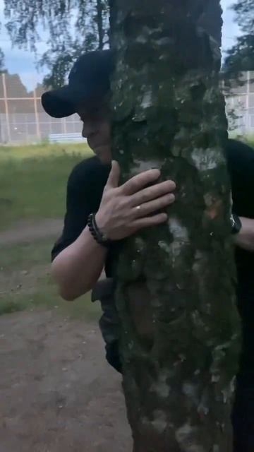 Если тебе грустно Обними берёзу Русский #reels #shorts #russia #? смотреть онлайн