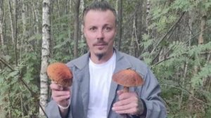 играем в некст рп  качаем по техоньку уровень  некст пасса