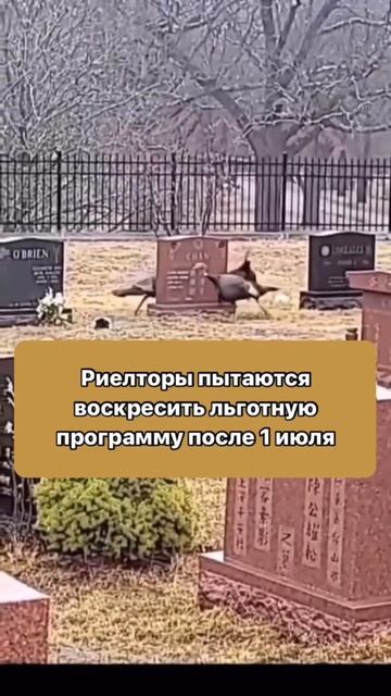 1 июля конец не настанет! Подписывайтесь, чтобы быть в ? смотреть онлайн