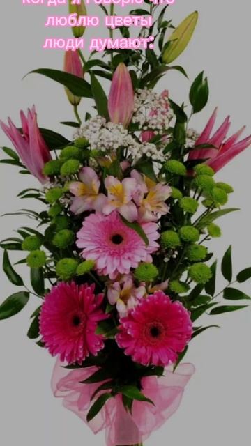 🥰🥰🥰 #цветы #букет  #петуния #фиалка #анютиныглазки #г смотреть онлайн