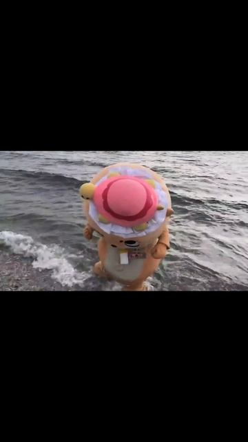 Я люблю море! #чиитан #шортс #выдра #лето #море смотреть онлайн