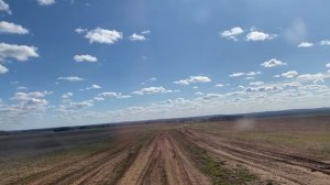 Полем полем DenBan4