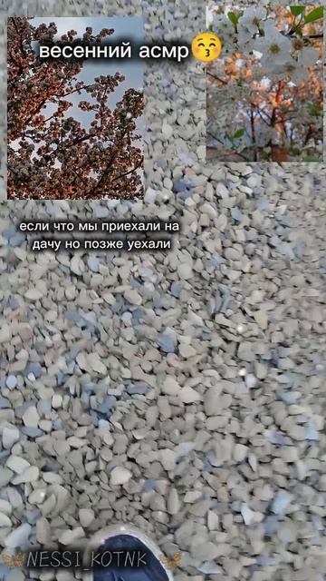 ||19:24|| асмр 😚 конечно короткий но мне нрав🥰🦋 #асмр #fyr #цветы #камниасмр🥰🦋