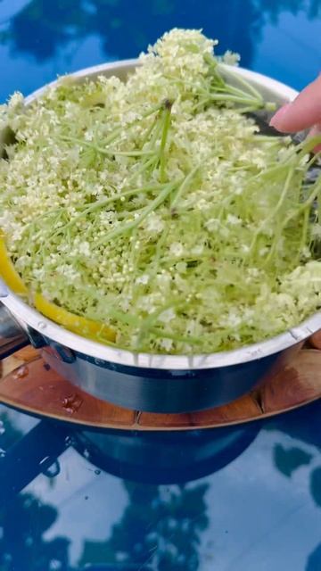 Бузиновий кордіал - рецепт в описі #рецептиукраїнсько? смотреть онлайн