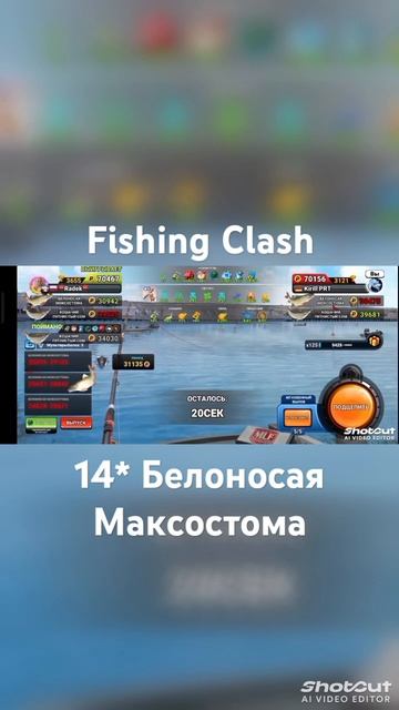 Fishing clash: Белоносая Максостома #fishingclash #топ #рыба смотреть онлайн
