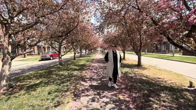 Сакура в Колорадо? Ну почти! смотреть онлайн