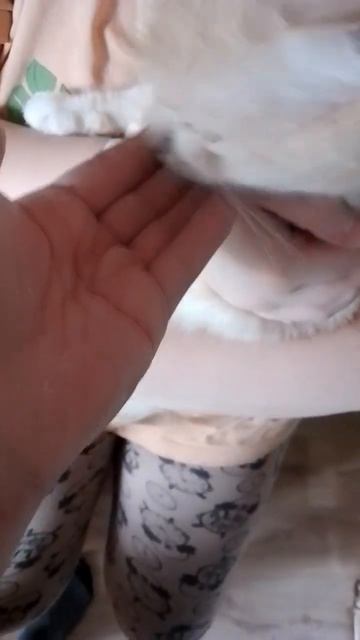 Кот ест кукурузу смотреть онлайн