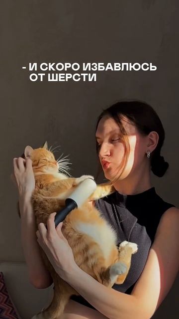 а ШЕРСТЬ ТОЧНО ИСЧЕЗНЕТ?😂😂 #кот #шерсть #уборка #юмор смотреть онлайн
