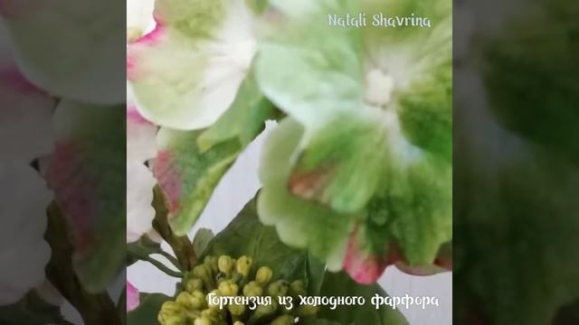Гортензия из холодного фарфора. Автор Натали Шаврина. смотреть онлайн