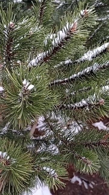 счастливый тем, что я живу смотреть онлайн