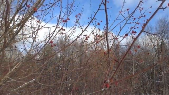 Времена года смотреть онлайн