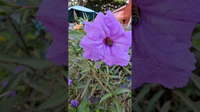 Там где я счастлива по настоящему 🥰 смотреть онлайн