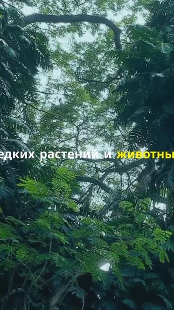 Интересные места 🌎: Остров Мадагаскар 🦎🌴 смотреть онлайн