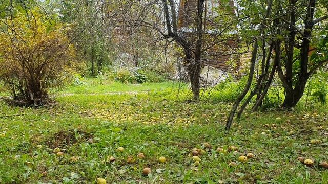 Найти где слов мне... смотреть онлайн