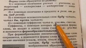 Русский язык 5-9 Теория/Бабайцева/Тема 69: Слово и его фо?