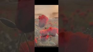 09-05-2025